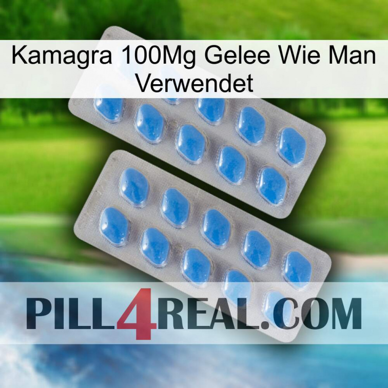 Kamagra 100Mg Jelly How To Use 23